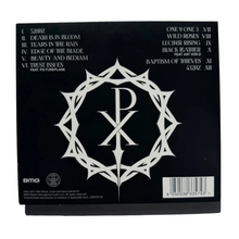 Load image into Gallery viewer, Baptism Of Thieves CD
